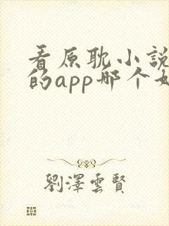 看原耽小说免费的app哪个好