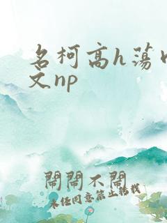 名柯高h荡肉爽文np