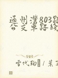 通州湾803路公交车路线