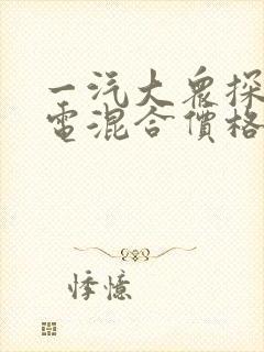 一汽大众探岳油电混合价格