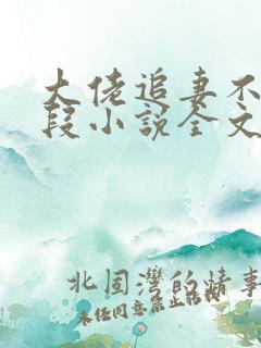 大佬追妻不择手段小说全文免费阅读