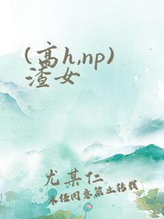 (高h,np)渣女