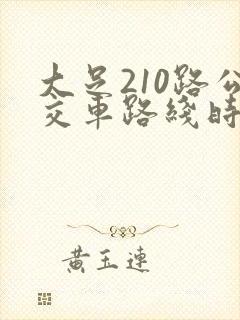 大足210路公交车路线时间表