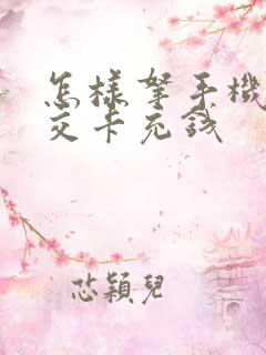 怎样拿手机给公交卡充钱