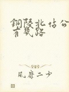 铜陵北站公交车有几路