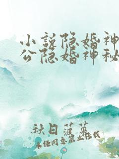 小说隐婚神秘老公隐婚神秘老公 小说隐婚神秘老公隐婚神秘老公