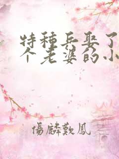 特种兵娶了十几个老婆的小说