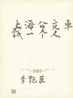 上海公交车多少钱一个人