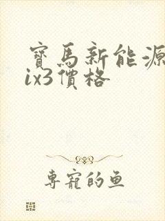 宝马新能源汽车ix3价格