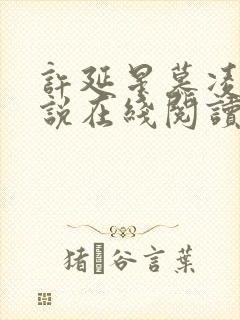 许延星慕凌薇小说在线阅读
