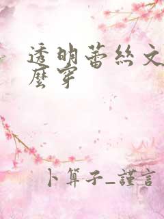 透明蕾丝文胸怎么穿