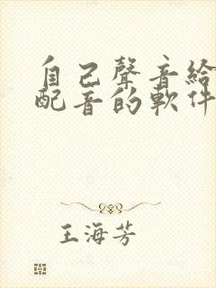 自己声音给视频配音的软件