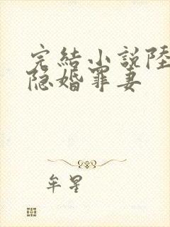 完结小说陆少的隐婚罪妻 完结小说陆少的隐婚罪妻