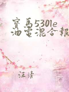 宝马530le油电混合报价