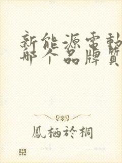 新能源电动汽车哪个品牌质量好