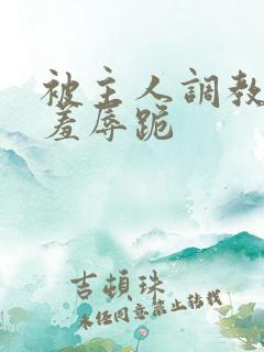 被主人调教粗口羞辱跪