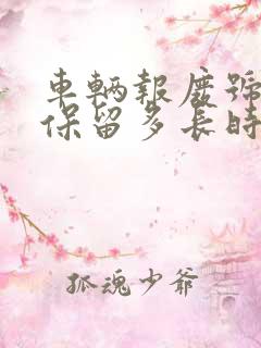 车辆报废号牌能保留多长时间