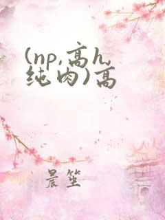 (np,高h,纯肉)高