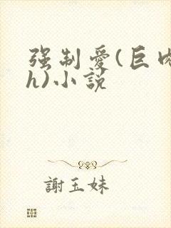 强制爱(巨肉高h)小说