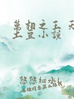 万相之王 天蚕土豆小说