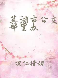 芜湖市公交卡在哪里办 芜湖市公交卡在哪里办