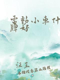 电动小车什么品牌好