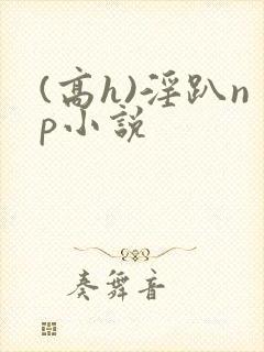 (高h)淫趴np小说