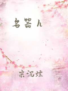 名器 h