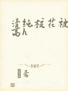 清纯校花被调教高h
