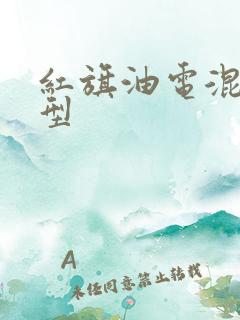 红旗油电混动车型