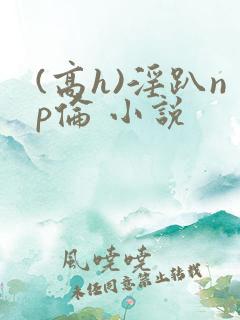 (高h)淫趴np伦 小说