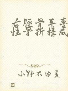 右胫骨平台粉碎性骨折构成啥伤