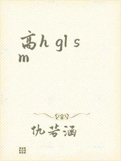 高h gl sm