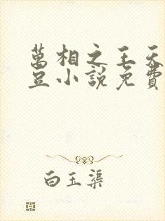 万相之王天蚕土豆小说免费阅读全文无删减
