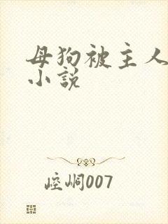 母狗被主人调教小说 母狗被主人调教小说