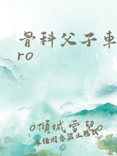 骨科父子车多pro