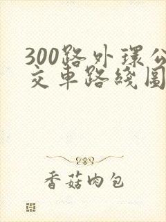 300路外环公交车路线图
