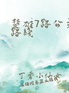 楚雄7路公交车路线