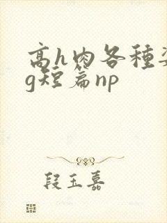 高h肉各种姿势g短篇np