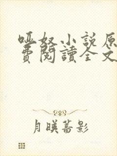 哑奴小说原著免费阅读全文