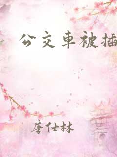 公交车被插入 公交车被插入