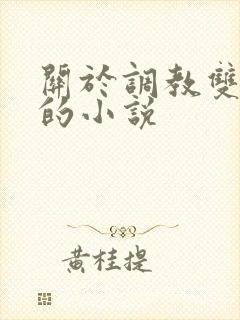 关于调教双性人的小说