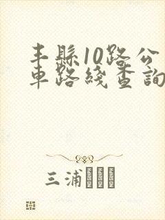 丰县10路公交车路线查询