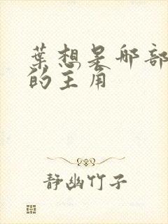 叶想是哪部小说的主角