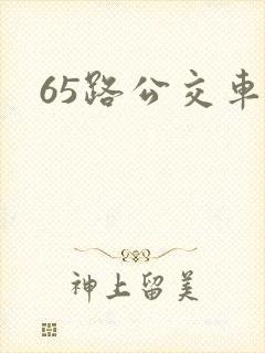 65路公交车站