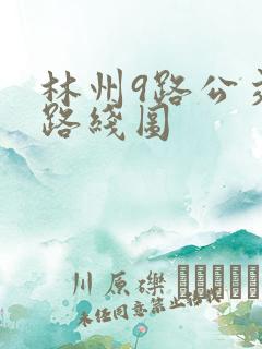 林州9路公交车路线图