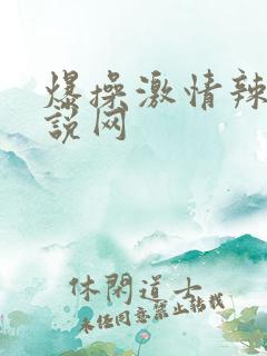 爆操激情辣文小说网