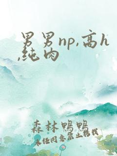 男男np,高h,纯肉