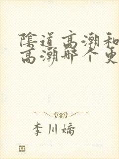 阴道高潮和阴蒂高潮哪个更爽