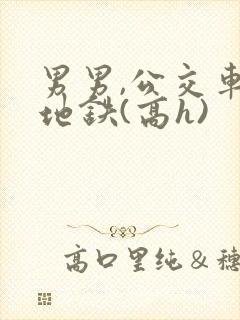男男,公交车,地铁(高h)